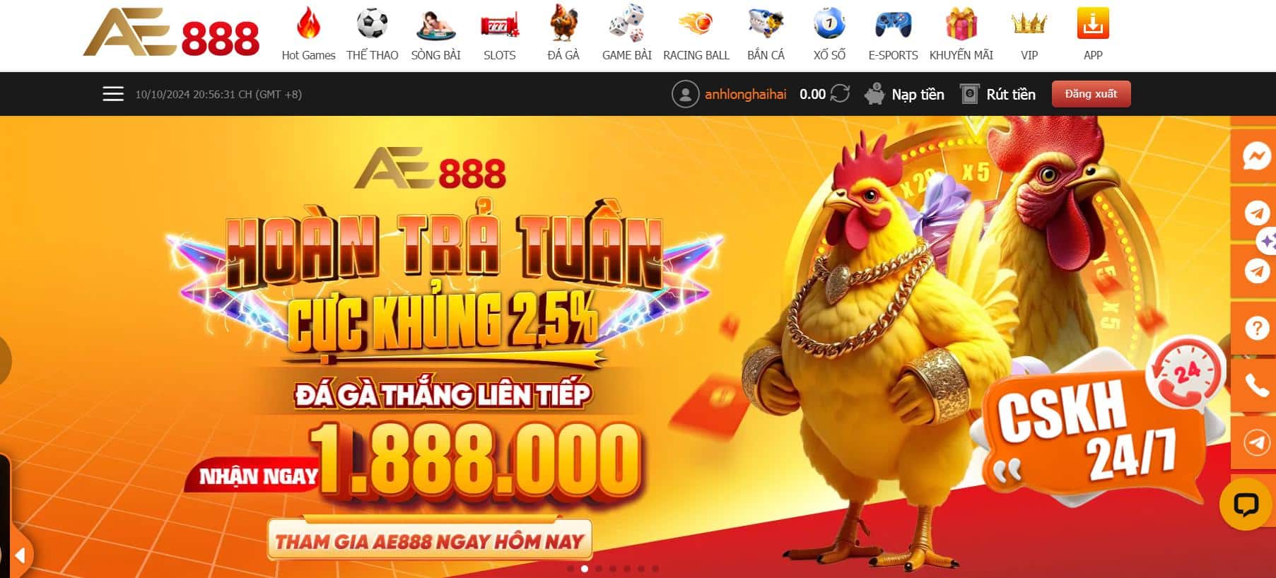Đá Gà Anhem888 - Đắm Chìm Vào Thế Giới Chiến Kê Sôi Động