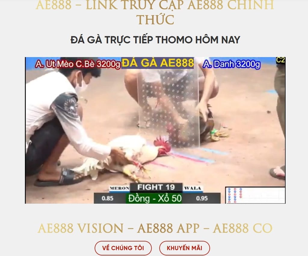 Giao diện của Ael1.com