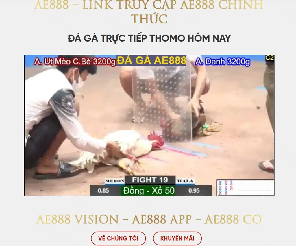 Giao diện của Tle.info